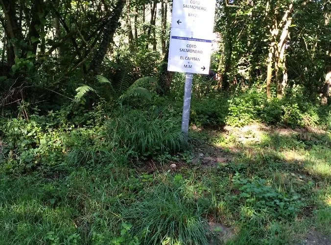 Vacacional Mami Апартаменты